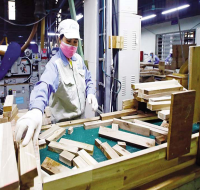 The economic picture gradually turns to light colors